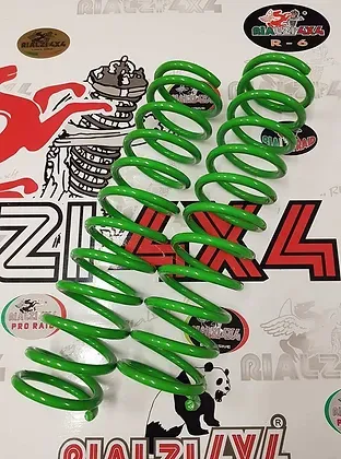 Molle anteriori panda 2wd prima serie da 1980 a 2003 rialzate 3 cm