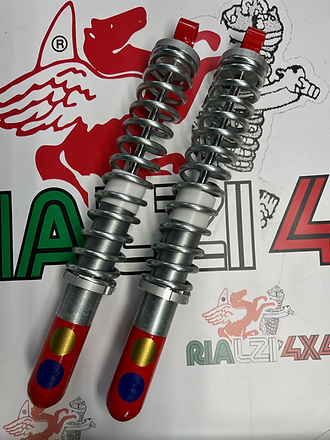 Ammortizzatori posteriori regolabili panda