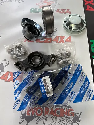 Kit revisione albero trasmissione