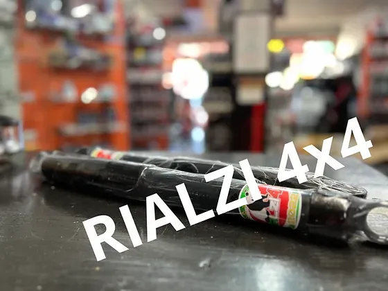 Ammortizzatori posteriori panda 2wd 5 cm